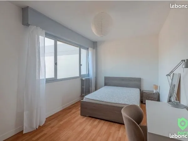 Colocation Ajaccio