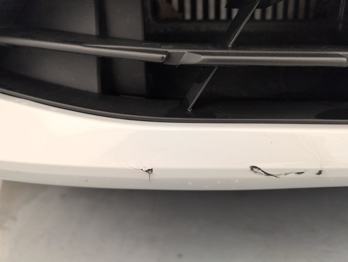 Renault Clio 5 — photo 25