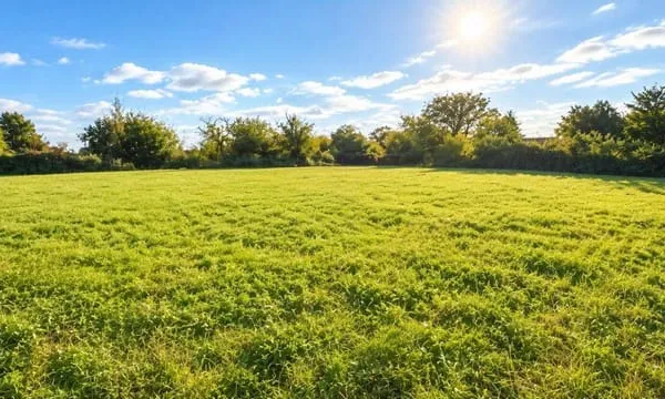 Terrain 1060 m²
