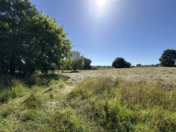 Terrain 14000 m²