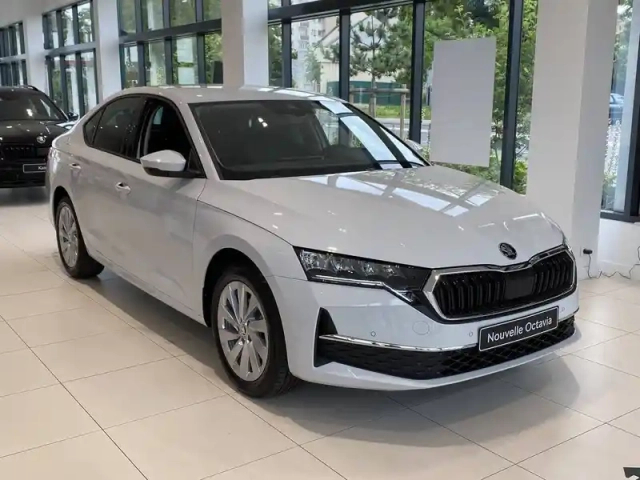 Skoda Octavia 2.0 tdi 150 ch dsg7
