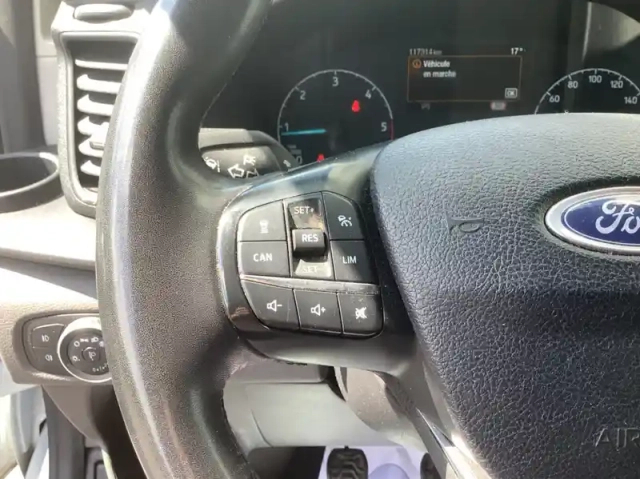 Ford Custom 300 l2h2 2.0 ecoblue 130 trend business — photo 21