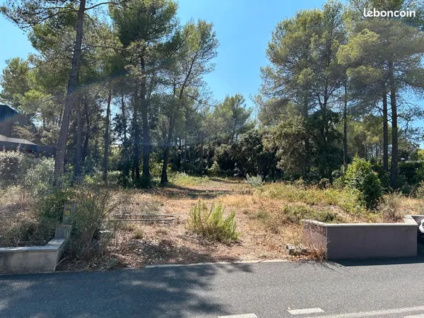 Terrain de 1500 m² constructible dans lotissement prisé Saint-Clément-de-Rivière