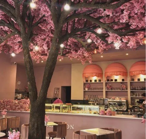 Vente restaurant fonds de commerce BRUNCH PAPILLON Pâtisserie