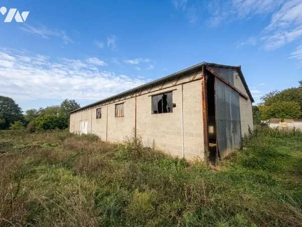 Local 316 m²