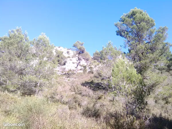Terrain de loisir