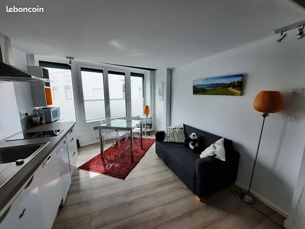 Duplex 1 pièce 29 m²