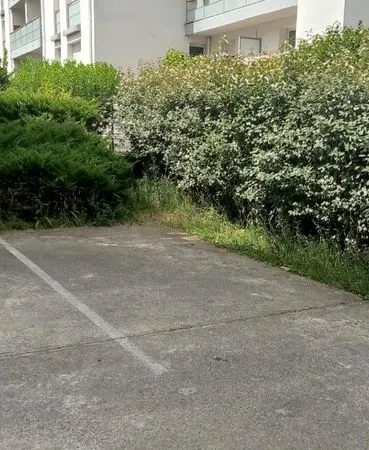 Parking en Location (Proche Rond-Point De Paris)