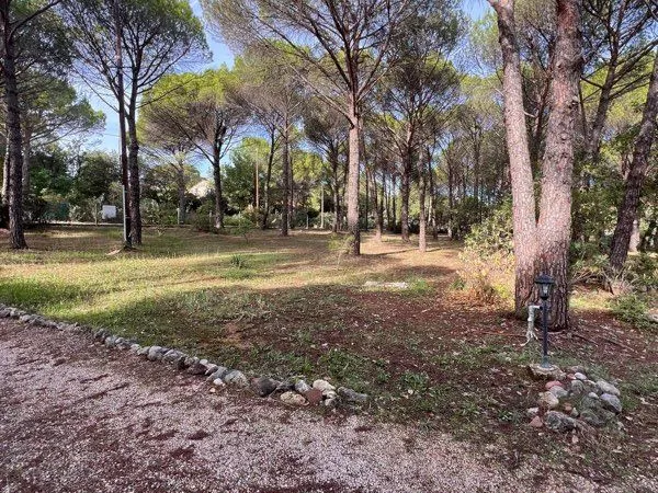 Terrain constructible