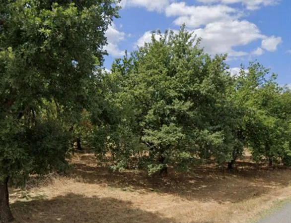 Terrain 358 m² Marges