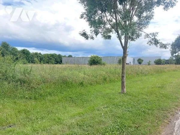 Terrain 5500 m²