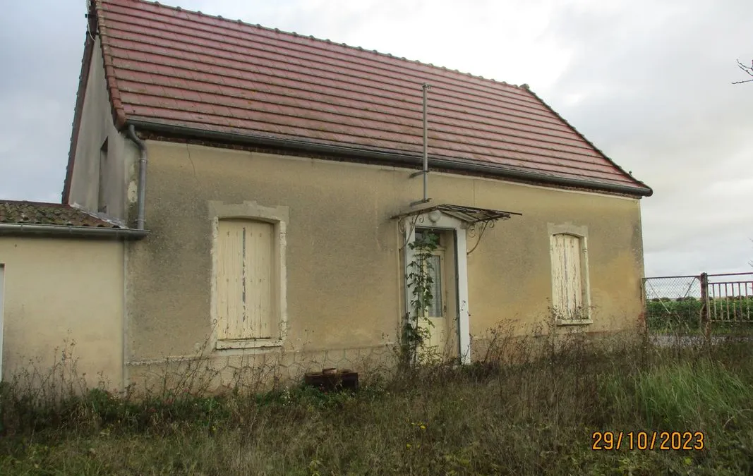 Photo 1