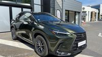 Lexus Nx 450h+ Luxe 4WD MY24 — photo 3