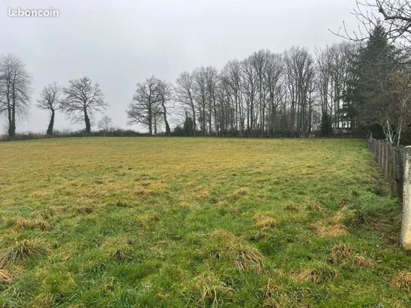 Terrain 9887 m² Ansac-sur-Vienne