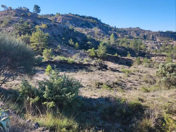 Terrain agricole