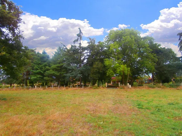 Beau terrain d'environ 2ha 40 avec étang entouré d'arbres