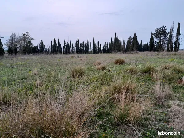 Terrain agricole 3.7ha sur la commune de Claira avec forage