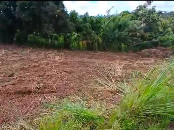 Terrain plat sur Le Lamentin