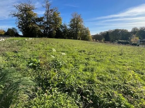 Terrain 1226 m²