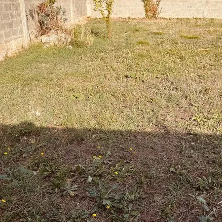 Terrain 267m2 la rochelle