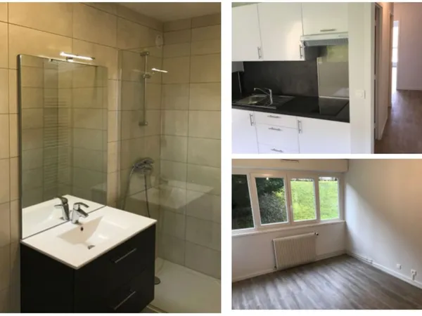 Appartement de 53m2 à louer sur Nancy