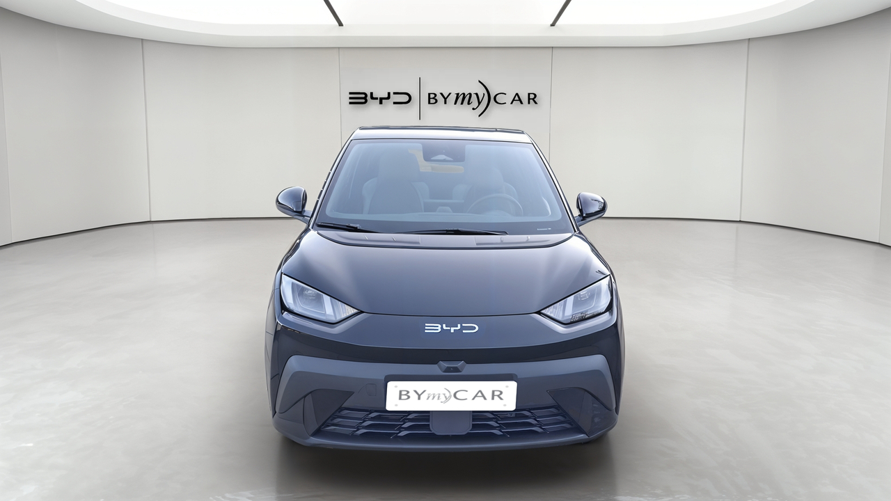 BYD Dolphin Surf 43.2 kWh 156 ch — photo 8