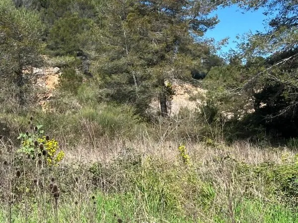 MOUGINS AU CALME - TERRAIN CONSTRUCTIBLE AVEC PERMIS POUR 2 VILLAS