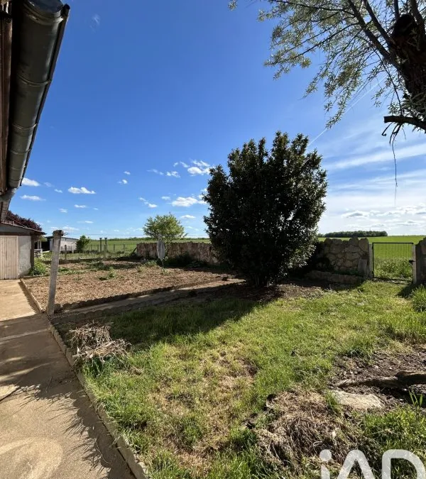 Photo 19