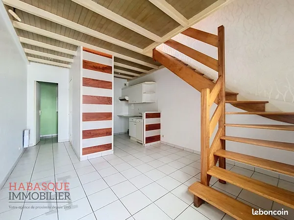 Duplex 1 pièce 33 m²