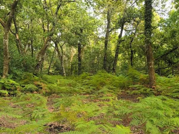 Terrain loisir