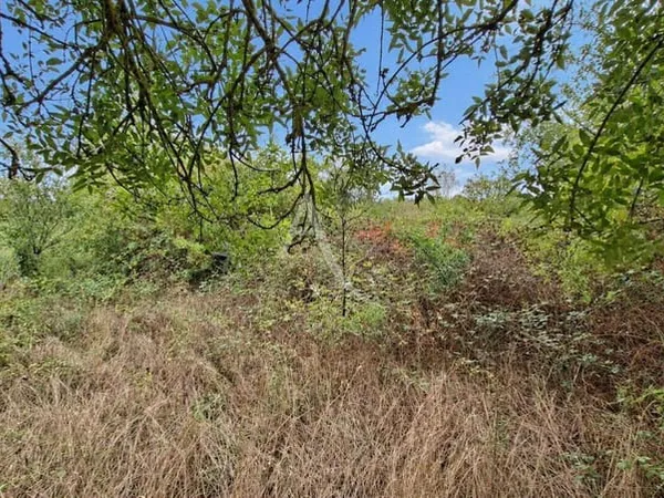 Terrain 4460 m²