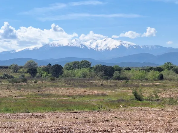 Terrain 239 m²