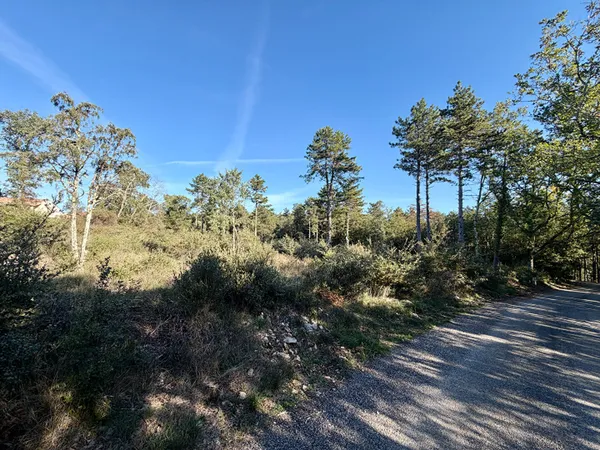 Vagnas - Terrain constructible boisé de 8 640 m² avec permis accordé