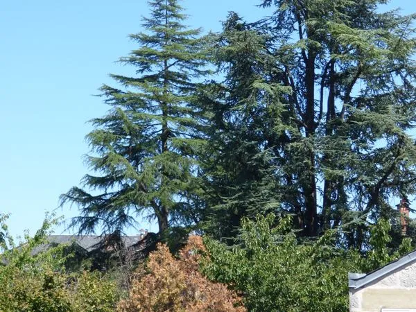 F3 à proximité de la gare et du centre ville à Brive