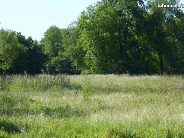 Terrain 2000m2 Rivarennes