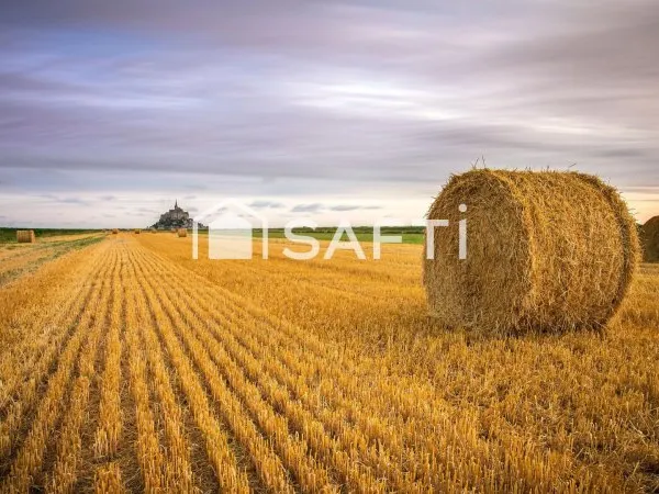 Terrain agricole