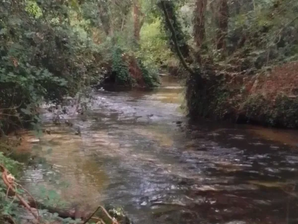 Terrain de villégiature en bord de rivière non constructible