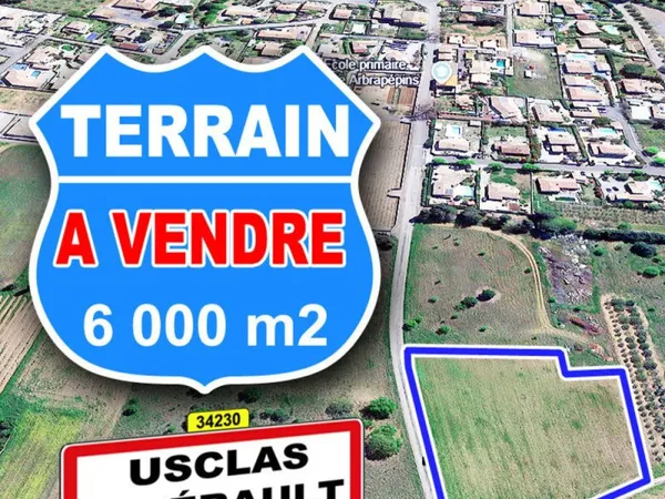Terrain de 6000 M2 (34230 Usclas d'Hérault)