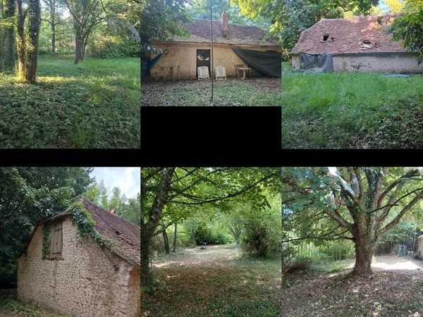 Maison en Pierre à Rénover 60m2 sur 1500m2 de Terrain Arboré - La Douze (24)