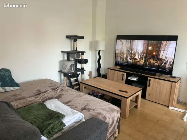 Appartement plein centre ville