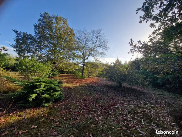 Terrain constructible mees