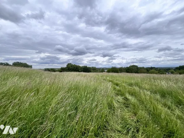 Terrain 5300 m²