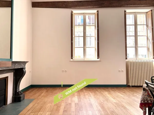 Appartement entièrement rénover au coeur de Dijon