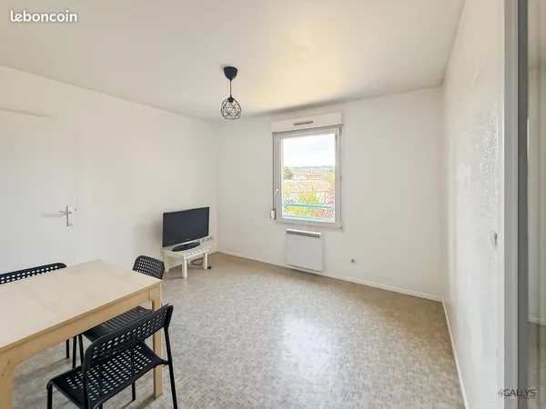 Appartement 1 pièce 19 m²