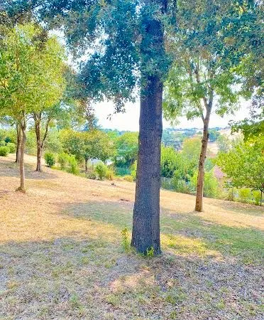 Terrain constructible viabilisé