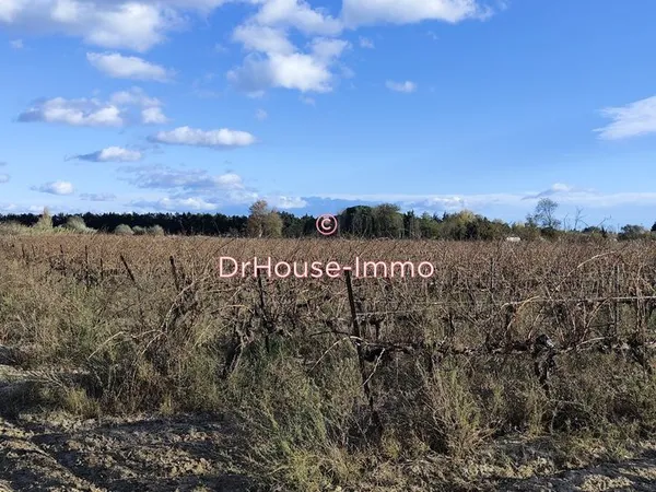 Terrain 12000 m² torreilles