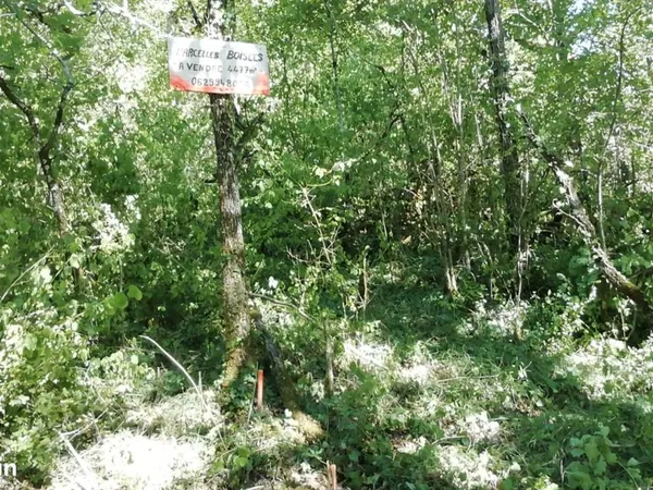 Terrains boisés