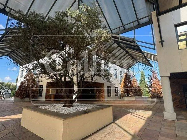 Bureau 608 m²