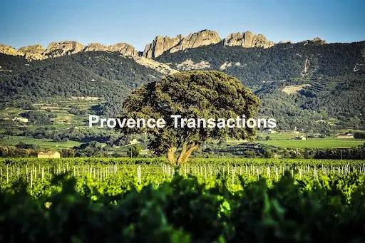 Bien agricole et foncier Vente Séguret   740000€