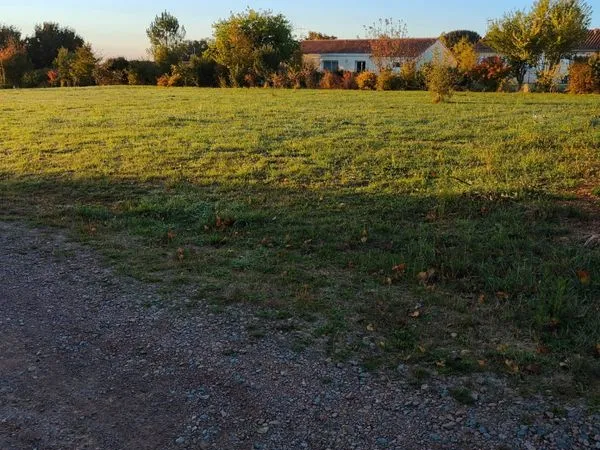 Terrain constructible